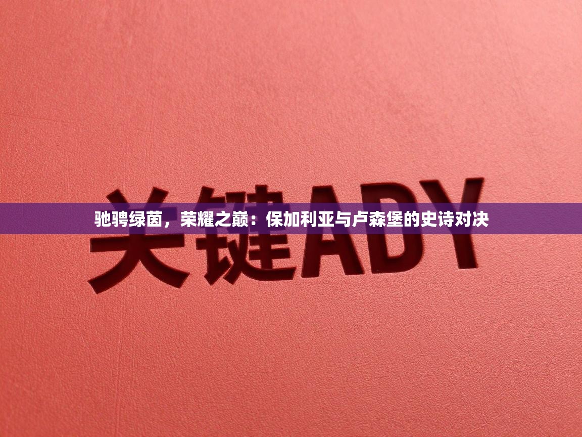 驰骋绿茵，荣耀之巅：保加利亚与卢森堡的史诗对决  第2张