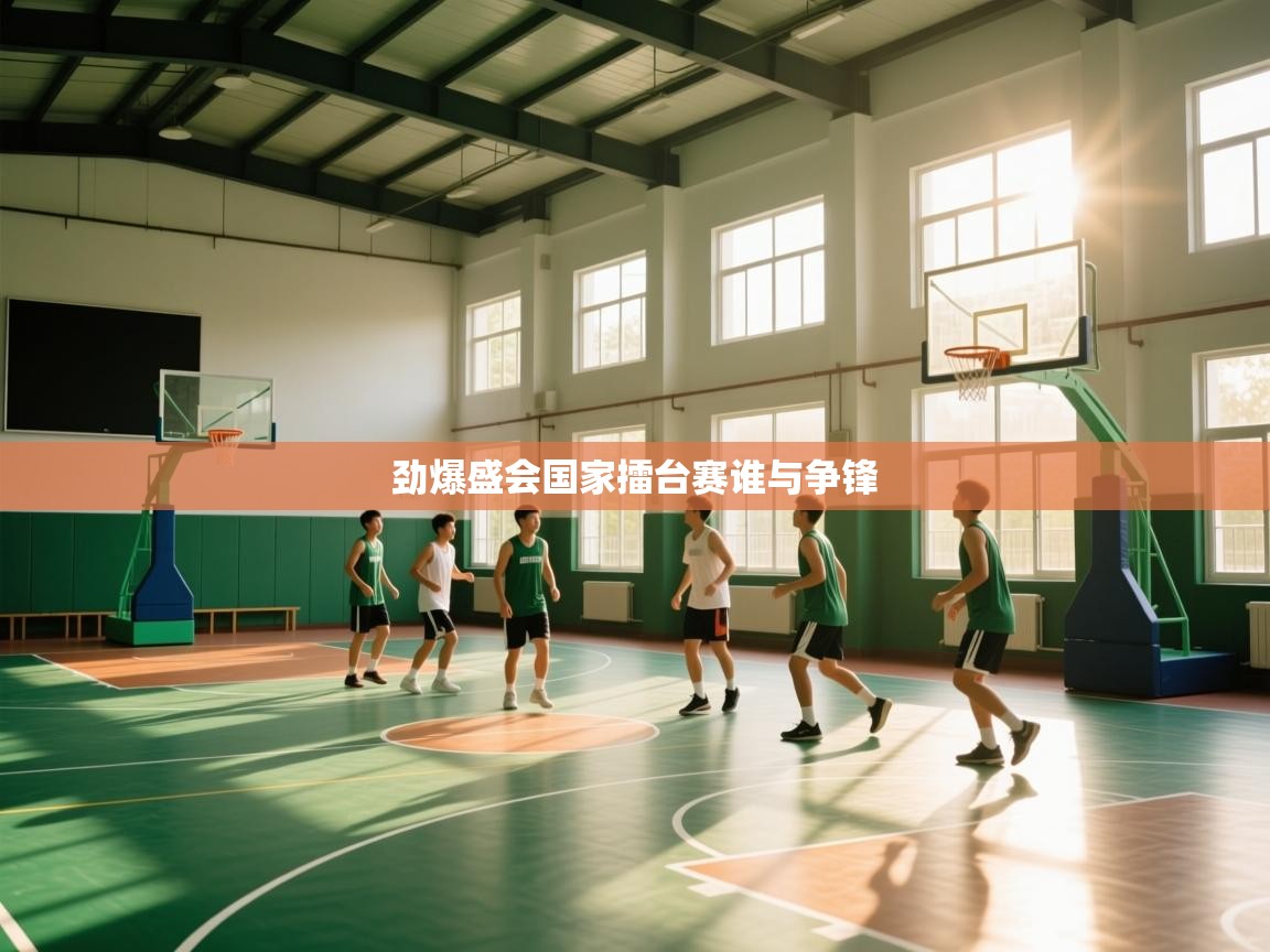劲爆盛会国家擂台赛谁与争锋  第1张